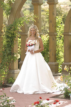 Bride in Wedding Gown